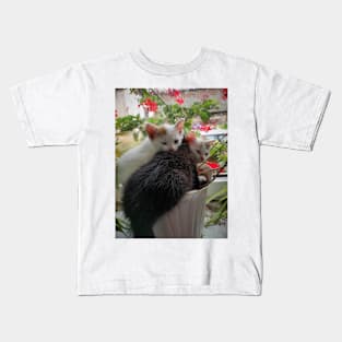 3 cats in a flower pot Kids T-Shirt